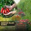 DELICRET - SOLANIA - San Marzano Tomaten DOP 12x 400g Dose mit Rezeptguide|ganze geschälte Pizzatomaten | Dosentomaten - Image 4
